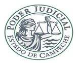 HONORABLE TRIBUNAL SUPERIOR DE JUSTICIA - Febrero 2021 Volumen 11 No. 111 - Poder Judicial ...