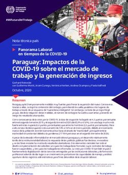 Paraguay: Impactos de la COVID-19 sobre el mercado de trabajo y la generación de ingresos - ILO