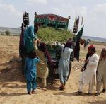 LOS RESULTADOS DE IMPACTO DEL PROGRAMA - TEN BILLION TREES TSUNAMI EN PAKISTAN