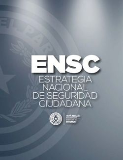 ENSC ESTRATEGIA NACIONAL DE SEGURIDAD CIUDADANA
