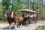 ESTANCIA EXCEPCIONAL EN FONTAINEBLEAU - Fontainebleau Tourisme