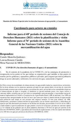 Cuestionario para actores no estatales Informe para el 48º período de sesiones del Consejo de - OHCHR