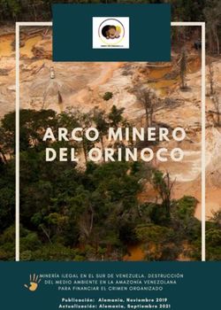 ARCO MINERO DEL ORINOCO - Einheit f&uuml;r Venezuela