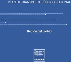 Región del Biobío PLAN DE TransporTe público regional - División de ...