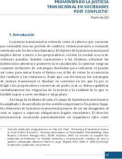 PROMOVIENDO LA JUSTICIA - TRANSICIONAL EN SOCIEDADES