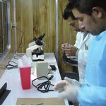 Tuberculosis en M&eacute;xico - Est&aacute;ndares para la Atenci&oacute;n de la
