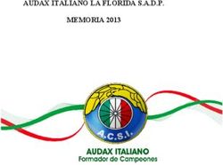 AUDAX ITALIANO LA FLORIDA S.A.D.P. MEMORIA 2013