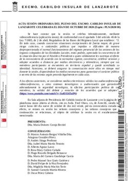 EXCMO. CABILDO INSULAR DE LANZAROTE