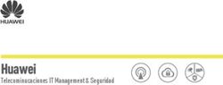 Huawei Telecominucaciones IT Management & Seguridad
