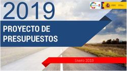 PROYECTO DE PRESUPUESTOS - Enero 2019