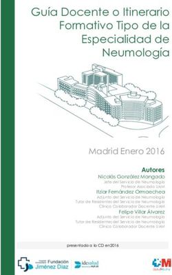 Gu&iacute;a Docente o Itinerario Formativo Tipo de la Especialidad de Neumolog&iacute;a - Fundaci&oacute;n Jim&eacute;nez D&iacute;az