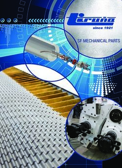 SF MECHANICAL PARTS - TIru&ntilde;a