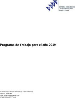 Programa de Trabajo para el año 2019 - Sela