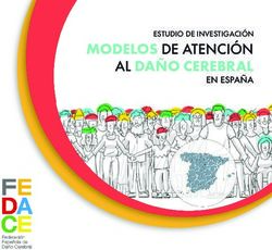 MODELOS DE ATENCIÓN AL DAÑO CEREBRAL - EN ESPAÑA - RIBERDIS