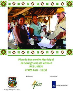 RESUMEN (PDM 2011 - 2015) - Plan de Desarrollo Municipal de San Ignacio de Velasco