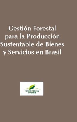 Gestión Forestal para la Producción Sustentable de Bienes y Servicios en Brasil