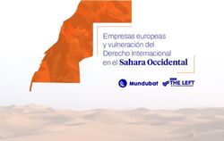 Empresas europeas y vulneración del Derecho Internacional en el Sahara Occidental - left
