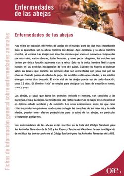 Enfermedades de las abejas - Enfermedades de las abejas