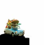 Temporada 2018 I 2019 - INTENSAMENTE - Auditorio de Tenerife