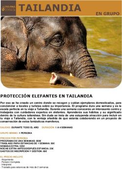 PROTECCI&Oacute;N ELEFANTES EN TAILANDIA