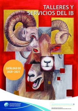TALLERES Y SERVICIOS DEL IB - International Baccalaureate