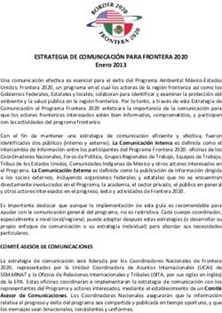 ESTRATEGIA DE COMUNICACI&Oacute;N PARA FRONTERA 2020