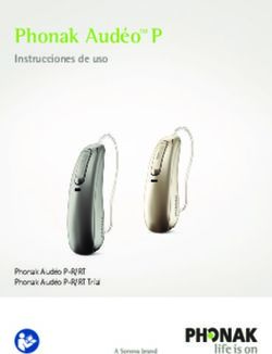 Phonak Aud&eacute;oTM P Instrucciones de uso