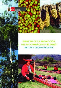 IMPACTO DE LA PROMOCIÓN DEL BIOCOMERCIO EN EL PERÚ RETOS Y OPORTUNIDADES - retos y ...