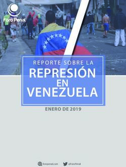 REPRESIÓN VENEZUELA EN - REPORTE SOBRE LA - Foro Penal