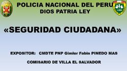 "SEGURIDAD CIUDADANA" - POLICIA NACIONAL DEL PERU DIOS PATRIA LEY
