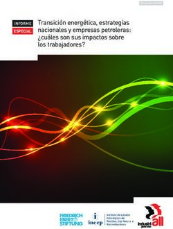 Transición energética, estrategias nacionales y empresas petroleras: cuáles son sus impactos sobre los trabajadores? - INFORME ESPECIAL
