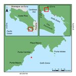 The coral-associated fauna and sessile benthic reef community of Pocillopora coral colonies following transplantation in Golfo Dulce, South ...