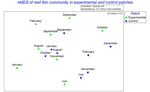 The coral-associated fauna and sessile benthic reef community of Pocillopora coral colonies following transplantation in Golfo Dulce, South ...