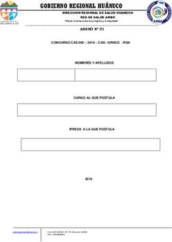 GOBIERNO REGIONAL HU&Aacute;NUCO - red de salud ambo