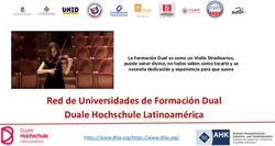 Red de Universidades de Formación Dual Duale Hochschule Latinoamérica - IEET