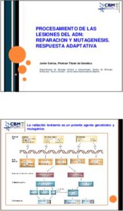 PROCESAMIENTO DE LAS LESIONES DEL ADN: REPARACION Y MUTAGENESIS. RESPUESTA ADAPTATIVA