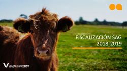 FISCALIZACIÓN SAG 2018-2019 - Observatorio Animal