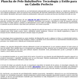 Plancha de Pelo BabylissPro: Tecnolog&iacute;a y Estilo para