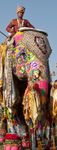 DUBAI, KERALA Y RAJASTHAN - 19 D&iacute;as / 18 Noches DUBAI - KERALA - MUMBAI - UDAIPUR - JODHPUR - JAIPUR - AGRA