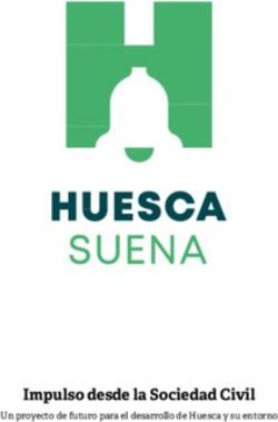 Impulso desde la Sociedad Civil - Un proyecto de futuro para el desarrollo de Huesca y su entorno - Huesca Suena