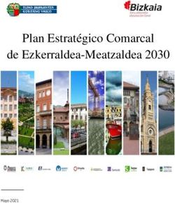 Plan Estratégico Comarcal de Ezkerraldea-Meatzaldea 2030