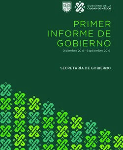 PRIM ER INF ORME DE GOBIERNO - SECRETARÍA DE GOBIERNO Diciembre 2018-Septiembre 2019 - CDMX