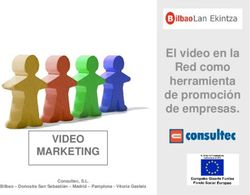 El video en la Red como herramienta de promoción de empresas - VIDEO MARKETING Consultec, S.L.