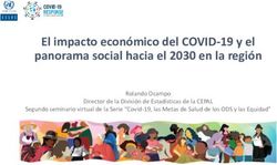 El impacto económico del COVID-19 y el panorama social hacia el 2030 en la región - Rolando Ocampo Director de la División de Estadísticas de la CEPAL