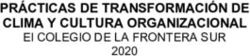 PRÁCTICAS DE TRANSFORMACIÓN DE CLIMA Y CULTURA ORGANIZACIONAL - El COLEGIO DE LA FRONTERA SUR 2020