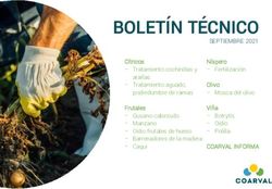 BOLETÍN TÉCNICO - Coarval