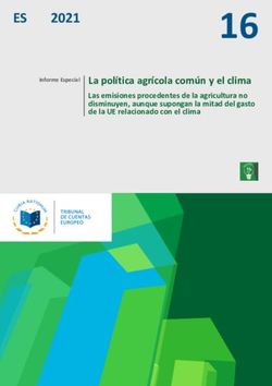 16 ES - Special Report 16/2021: Common Agricultural ...