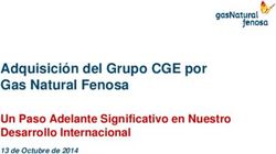Adquisición del Grupo CGE por Gas Natural Fenosa - Un Paso Adelante Significativo en Nuestro Desarrollo Internacional