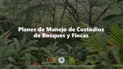 Planes de Manejo de Custodios de Bosques y Fincas