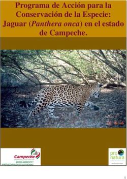 Programa de Acci&oacute;n para la Conservaci&oacute;n de la Especie: Jaguar (Panthera onca) en el estado de Campeche.